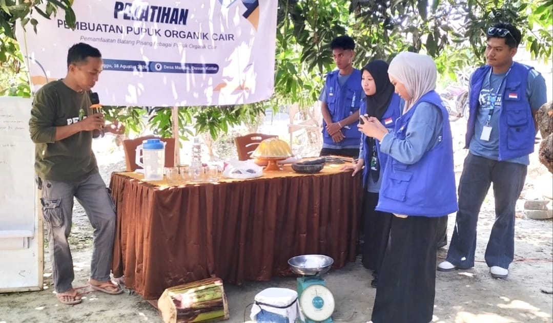 Mahasiswa KKN STAIN Majene - UINSA Surabaya Latih Petani Desa Mambu Buat Pupuk Cair Gedebog Pisang